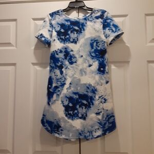 WYLDR Whitley Blue & White Rose Floral Watercolor Shift Dress Mini Size S